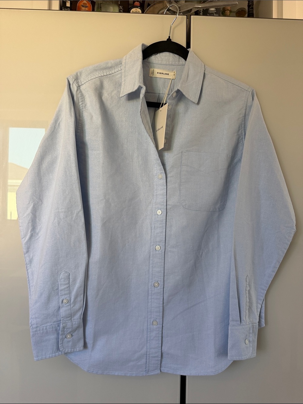 Everlane ladies Pale Blue Casual Button-Down Shirt